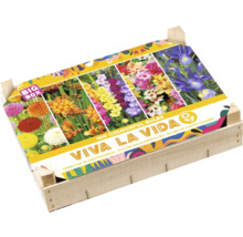 Blumenzwiebeln-Mischung in Holzkiste mit Aufdruck verschiedener Blumen und dem Schriftzug Viva la Vida