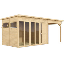Abri de jardin en bois avec fenêtres, porte et annexe