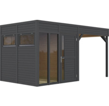 Abri de jardin moderne avec fenêtres, porte et auvent