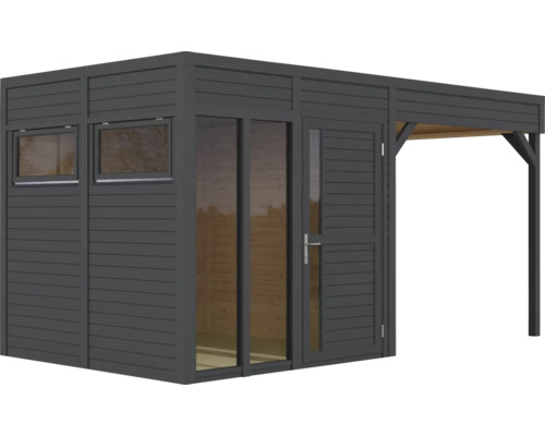 Abri de jardin moderne avec fenêtres, porte et auvent