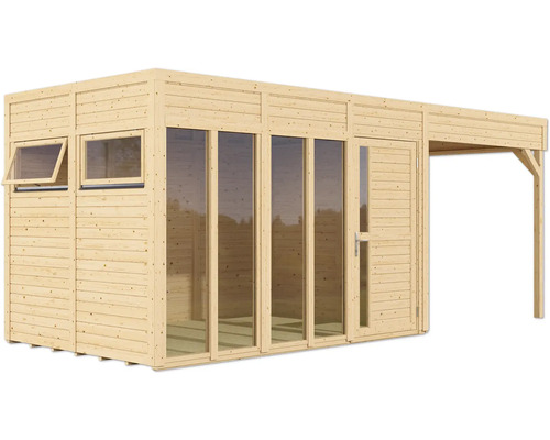 Abri de jardin en bois avec fenêtres, porte et petit auvent