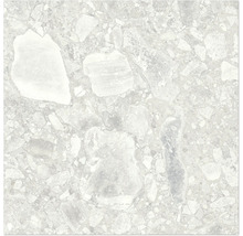 Gros plan d'un carreau de sol avec décor en pierre