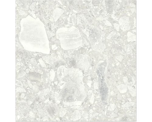 Gros plan d'un carreau de sol avec décor en pierre