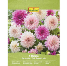 FloraSelf Dahlia décorative Pink Dream, lot de quatre