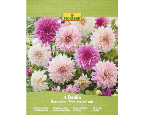 FloraSelf Dahlia décorative Pink Dream, lot de quatre