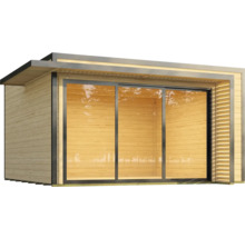 Abri de jardin moderne avec porte coulissante et revêtement en bois