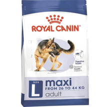 Royal Canin Maxi Adult aliment pour grands chiens de 26 à 44 kilogrammes