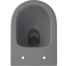 WC suspendu en céramique de forme ovale avec cuvette à fond creux pour la salle de bain.