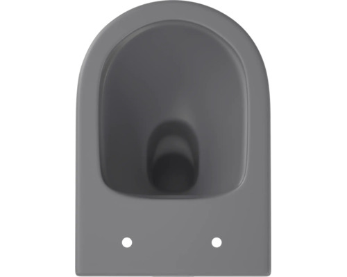 WC suspendu en céramique de forme ovale avec cuvette à fond creux pour la salle de bain.