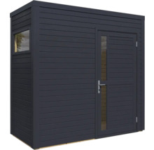 Abri de jardin avec fenêtre et porte