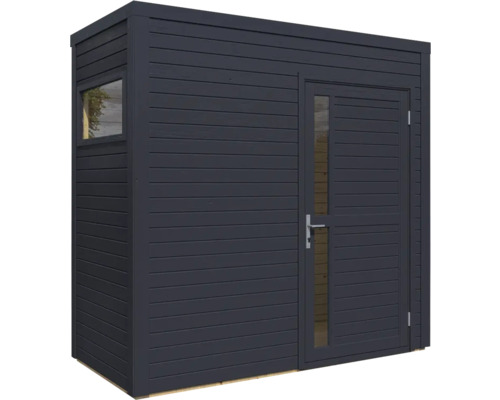 Abri de jardin avec fenêtre et porte