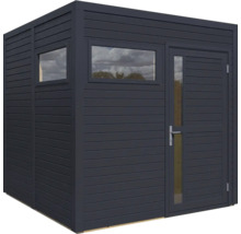 Abri de jardin avec fenêtres et porte