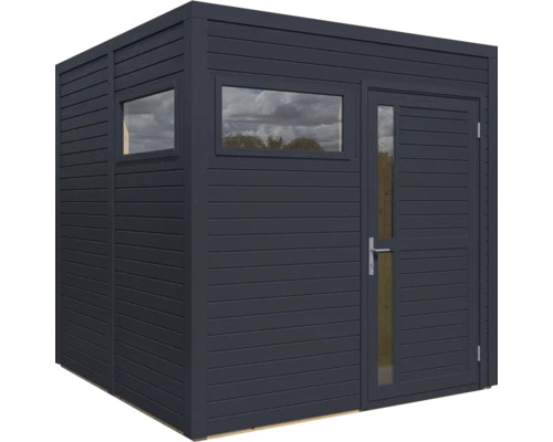 Abri de jardin avec fenêtres et porte