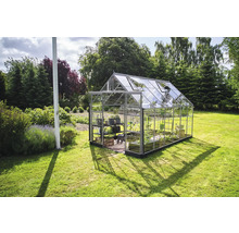 Serre de jardin avec étagères pour plantes