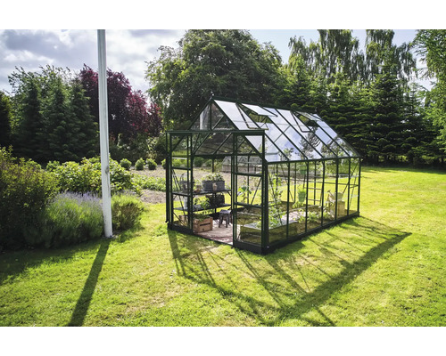 Serre en verre avec des plantes dans le jardin.