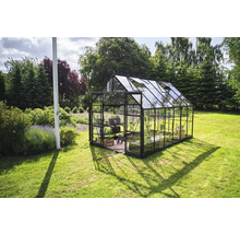 Serre en verre et métal dans le jardin.