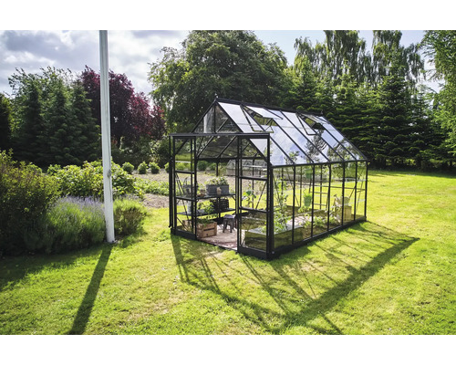Serre en verre et métal dans le jardin.