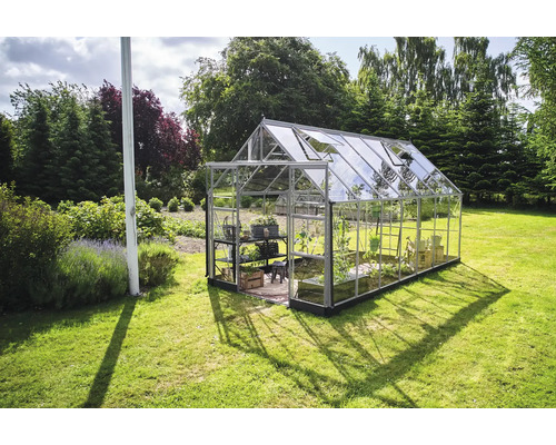 Serre de jardin avec étagères et plantes