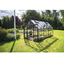 Serre en verre et métal dans un jardin