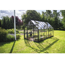 Serre de jardin avec étagères et plantes