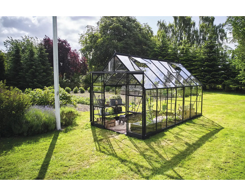 Serre de jardin avec étagères et plantes