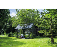 Serre en verre dans jardin avec pelouse verte