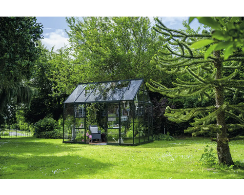 Serre en verre dans jardin avec pelouse verte