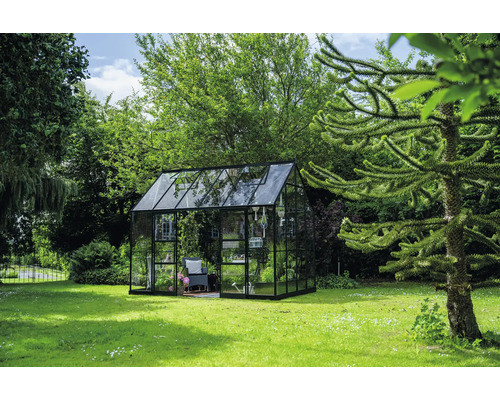 Serre en verre et métal dans le jardin