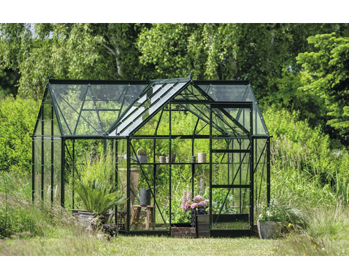 Serre avec des plantes dans le jardin