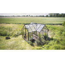 Serre de jardin avec plantes et bois