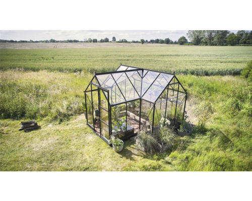 Serre de jardin avec plantes et bois