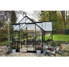 Serre avec murs en verre et plantes dans le jardin.