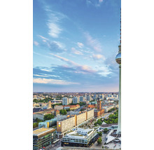 Vue aérienne de Berlin avec la tour de télévision de Berlin à la lumière du jour