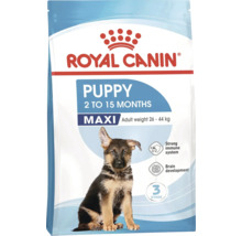 Aliment pour chiots Royal Canin Puppy Maxi pour chiots de 2 à 15 mois pesant entre 26 et 44 kilogrammes.