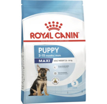 Aliments pour chiots Royal Canin pour chiens de grandes races pesant de 26 à 44 kilogrammes à l'âge adulte