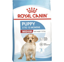 Royal Canin Puppy Medium Hundetrockenfutter für Welpen von zwei bis zwölf Monaten