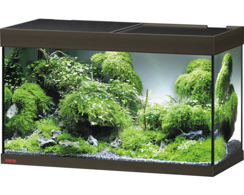 Eingerichtetes Aquarium mit Pflanzen und Steinen