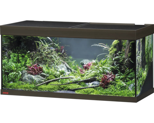 Eingerichtetes Aquarium mit Pflanzen, Steinen und Wurzeln