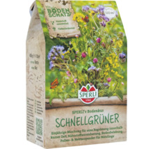 Samenmischung Schnellgrüner von Sperli für circa 110 Quadratmeter