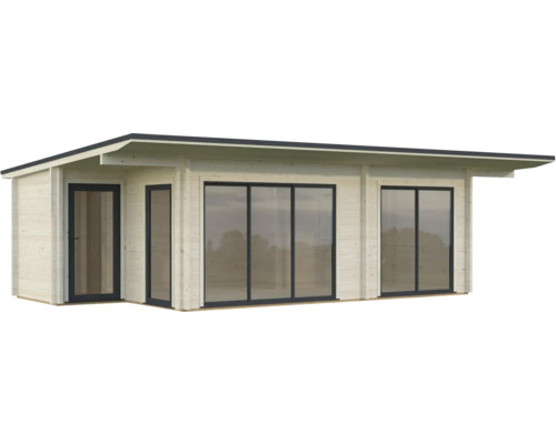 Abri de jardin moderne avec toit plat, fenêtres et porte