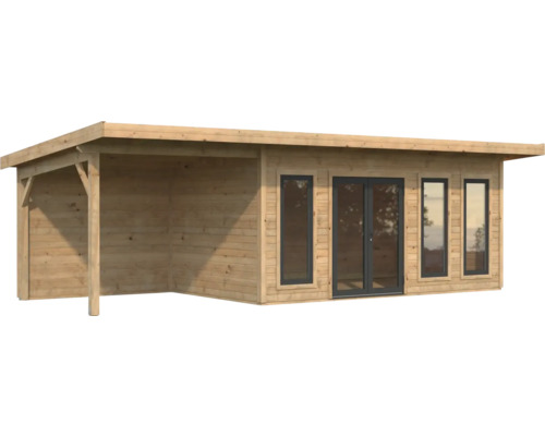 Abri de jardin en bois avec auvent et fenêtres