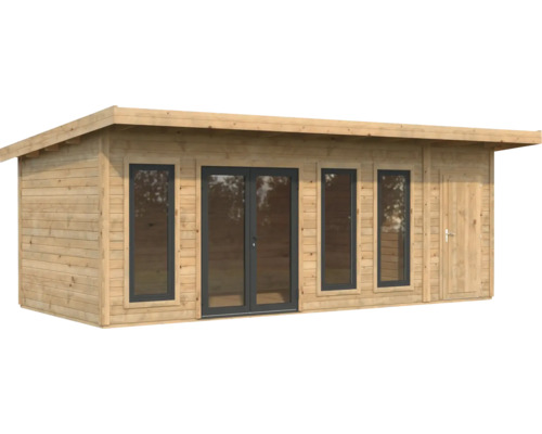 Abri de jardin en bois avec fenêtres et double porte