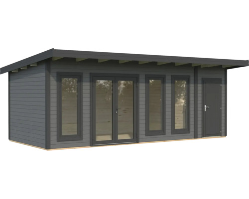 Abri de jardin avec fenêtres et porte