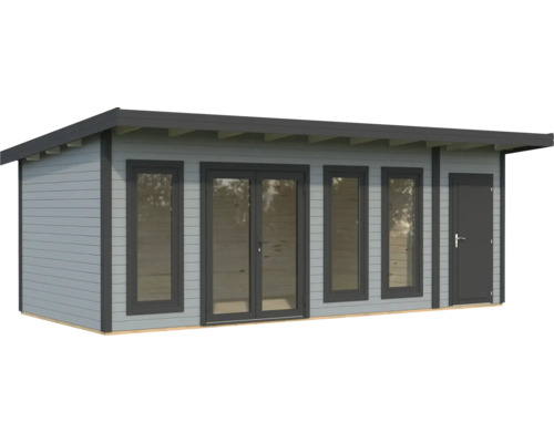 Abri de jardin avec fenêtres et porte