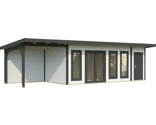 Abri de jardin moderne avec toit, fenêtres et porte.