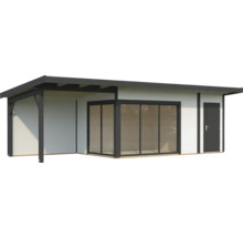 Maison de jardin en bois avec façade en verre et porte