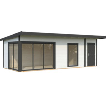 Abri de jardin avec fenêtre et porte