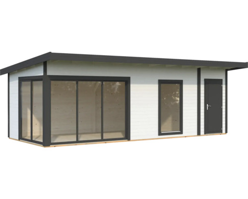 Abri de jardin avec fenêtre et porte