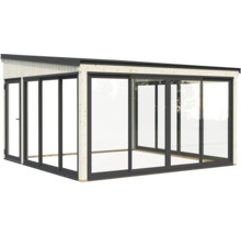 Abri de jardin en bois avec portes coulissantes et toit plat