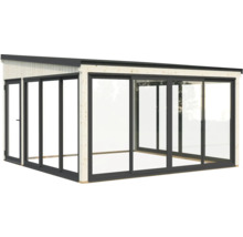 Abri de jardin moderne avec portes coulissantes et cadre en bois